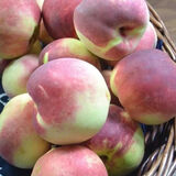 佐什冬桃鲜桃子脆甜软桃新鲜当季时令水果 3斤装（单果约80-120g）