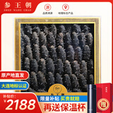 参王朝 大连底播淡干海参干货辽刺参海鲜水产礼盒 7A 实惠装尊品9年 500g*1盒 40-60头