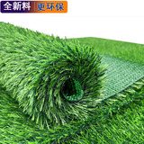 夺秀 仿真草坪地毯塑料假草皮 人造草坪阳台户外人工草坪幼儿园假草坪 升级版20mm网格春草/50平方 高等级