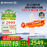 滨特尔（pentair）大白瓶前置过滤器 全屋家用自来水过滤器 前置净水器大蓝瓶 中央净水机大流量大胖瓶高精度 【20寸大白瓶】包安装