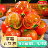 京地达山东铁皮草莓西红柿净重4.5斤单果50g起 水果番茄  源头直发包邮