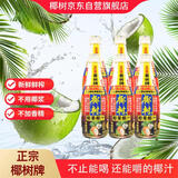椰树 椰果 椰汁1.25kg*6瓶 整箱装 植物蛋白饮料 正宗海南特产