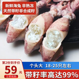 海宏盈 海兔带籽笔管鱼海兔子满籽籽乌900g青岛海鲜火锅烧烤食材生鲜