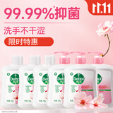 滴露（Dettol）洗手液滋润500g*6 抑菌洗手液家庭装大桶儿童消毒无酒精温和护手