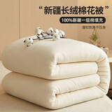 天山雪域新疆棉被秋冬被芯单双人棉花被子 鱼鳞网带包边 12斤 200*230cm