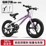 凤凰儿童自行车儿童山地学生车小孩单车带辅助轮3-6-10-12岁小中大童 乌梅紫丨变速一体轮+双碟刹+礼包 20寸（适合身高130-145cm）