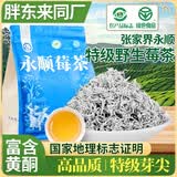 佰利红叶莓茶特级野生张家界降湖南永顺正宗2025新茶茅岩芽尖三高霉茶藤茶