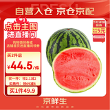 京鲜生 无籽麒麟大西瓜 1粒装 7-9斤 生鲜水果