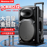 纽曼（Newmine）B12广场舞音响12英寸户外大音量蓝牙拉杆音箱大功率便携式移动演出k歌低音炮地摊摆摊喇叭双麦版