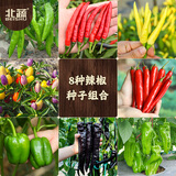 北蔬辣椒种子苗美人椒朝天椒薄皮皱椒四季阳台蔬菜籽 8种辣椒种子大全