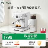 柏翠(petrus)咖啡机意式浓缩家用小型半自动蒸汽打奶泡 海盐小方PE3833+PE3700