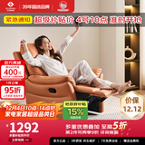 左右沙发单人沙发椅子北欧简约客厅家具科技布功能单椅DZY6010 3电动带摇单椅 科技布-玛瑙棕 一人位