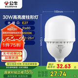 公牛（BULL）LED灯泡高亮柱形灯厂房车间商超食堂 30W球泡白光6500KE27螺口