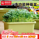 爱丽思（IRIS）种菜盆蔬菜种植箱塑料菜盆特大号阳台种菜神器户外花箱种花菜盆 【2个】大(60cm长)绿色 送隔网