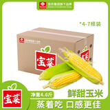 佳农宝菜山东新鲜水果玉米带绿皮单根200g+净重4.6斤4-7根源头直发