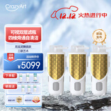 CrazyArt疯狂艺术 双层龙鳞盾大白瓶前置过滤器反冲洗带旁通 带可视窗口 家用大流量自来水过滤净化水装置 龙鳞盾艺术（三级防护全屋过滤）