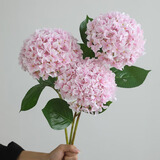 生喜朗仿真花绣球假花干花客厅装饰摆设永生花花束餐桌摆件场景拍摄道具