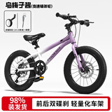 凤凰儿童自行车儿童山地学生车小孩单车带辅助轮3-6-10-12岁小中大童 乌梅紫丨变速辐条轮+双碟刹+礼包 20寸（适合身高130-145cm）