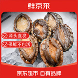 鲜京采 鲜活鲍鱼1斤（10-12只） 海鲜水产贝类 煲汤滋补源头直发