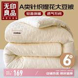无印良品10%大豆被 a类纤维被子 双人被芯被褥春秋四季冬被 6斤200×230cm