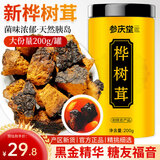参庆堂桦树茸200g/罐 长白山白桦茸桦褐孔菌华树茸桑黄灵芝伴侣茶