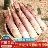 京地达临安天目山新鲜现挖春雷笋净重5斤单果2两起鲜笋笋子源头直发包邮