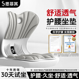 思菲其护腰坐垫办公室腰靠垫人体工学椅子坐垫护腰久坐神器腰部支撑座垫