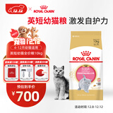 皇家猫粮 英短幼猫粮 BSK38 4-12月 10KG