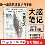 大脑笔记 神经系统涂色学习手册 重现解剖学教授经典课堂 脑神经科学版秘密花园 后浪正版
