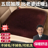 嘉柏兰汽车坐垫冬季毛绒三件套冬季保暖防寒加厚通用座椅垫后排汽车座垫 咖啡色【前排单座1片】