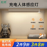 松潮智能人体感应灯带橱柜灯衣柜灯条床头灯楼梯入户鞋柜玄关灯氛围灯 白光 40cm（感应+光控+调亮度+常亮）