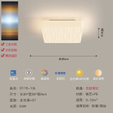 红品爱家客厅吸顶灯现代简约大气创意全光谱护眼奶油风主卧室餐厅书房灯具 【1块30*30cm】米家智控(8116)