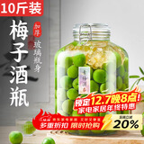 极度空间泡酒容器酒坛泡酒专用瓶玻璃罐密封罐泡菜坛空酒瓶10斤装送清洁刷