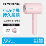 飞科（FLYCO）负离子电吹风机家用大功率冷热风恒温护发吹风筒FH6291