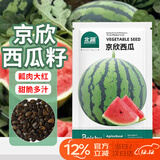 北蔬 京欣西瓜种子种苗大红瓤薄皮超脆甜盆栽瓜籽 京欣西瓜种子约50粒