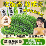 万般宜 海葡萄新鲜盐渍即食品儿童凉拌菜鱼子酱火锅商家用300克+6种蘸料