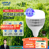 欧普（OPPLE）LED灯泡2级能效灯泡E27螺口商用摆摊大功率厂房工矿灯100瓦白光