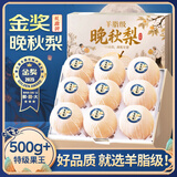 山姆大叔 山东晚秋梨【闪送-多地次日达】冰糖梨子年货礼盒水果礼盒装 【精品果】单果250-350g｜超甜 3斤装（尝鲜-较划算）净2.5斤