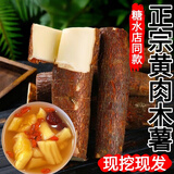 晟容果蔬正宗黄心木薯新鲜现挖广西特产农家当季黄肉面包板栗红薯糖水店 净重3斤精选果【淀粉丰富】