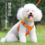 酷奇宠狗绳猫绳宠物狗狗牵引绳小型犬狗链狗绳子胸背遛猫狗宠物外出用品 橙蓝色 XL码 建议体重20-28斤