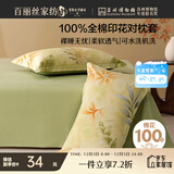 百丽丝水星家纺出品枕头套单件 全棉枕套枕巾纯棉枕头罩枕套一对48x74cm