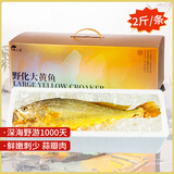黄小渔【深海野化】宁德大黄鱼海鲜礼盒2斤/条 黄花鱼送礼源头直发 