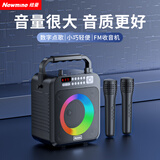 纽曼（Newmine）K522蓝牙音响家用室内实用手提k歌音箱户外便携式大音量hifi音质长续航音乐播放器无线双麦克风