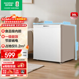 容声（Ronshen）30升单门母婴母乳冷冻柜家用一级能效母婴母乳出租房办公室省电小型冰箱小冰柜BD-30E10LNLAD