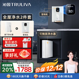 沁园（TRULIVA）净水器 小白鲸青春版1000G大通量家用净水机纯水机净饮机厨下式 5年RO膜反渗透直饮 UR-S31020 净水器+580管线机