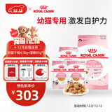 皇家猫粮 幼猫猫粮 干湿搭配 K36 4.5kg+啫喱肉冻KJP 85G*3