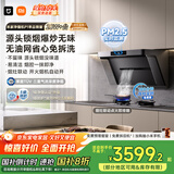 米家小米抽吸油烟机净烟机P1国家补贴以旧换新大吸力一级能效上门安装【天然气烟灶套装】免拆洗MJ04CY