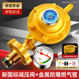 家韵（jiayun）煤气灶减压阀低压阀门家用新国标0.6燃气液化气煤气瓶罐阀门配件 家用防爆带表减压阀+4米燃气管