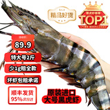 天纵良材 巨型黑虎虾 大虾类新鲜老虎虾 斑节虾对虾 印度洋鲜活急冻 礼盒 1620大号【特大黑虎虾】 1.8斤(净重)  14-18只