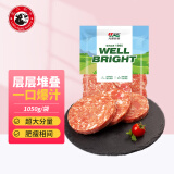 元盛大块肉千层牛肉饼汉堡饼1.05KG/袋牛肉馅饺子馅烧烤健身轻食